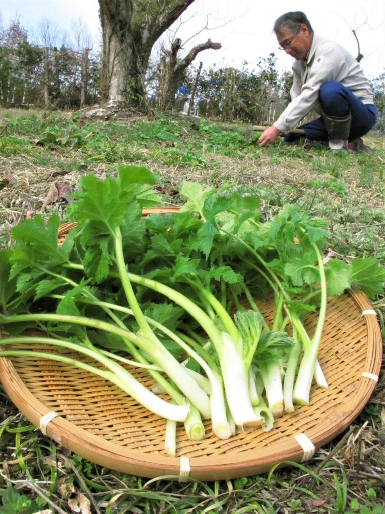 二十四節気「啓蟄（けいちつ）」