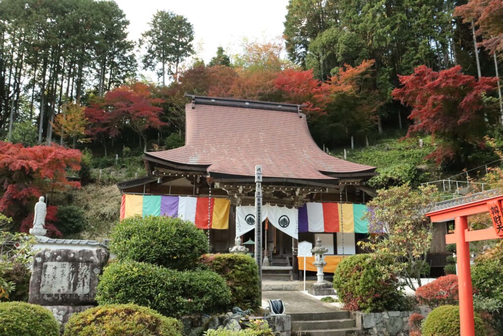 善應寺周辺を彩るモミジの紅葉