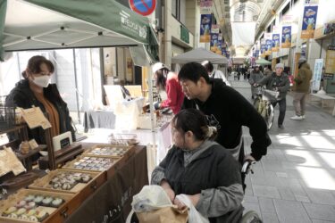 ネコグッズや菓子を買い求める人でにぎわう商店街=岡山県津山市で
