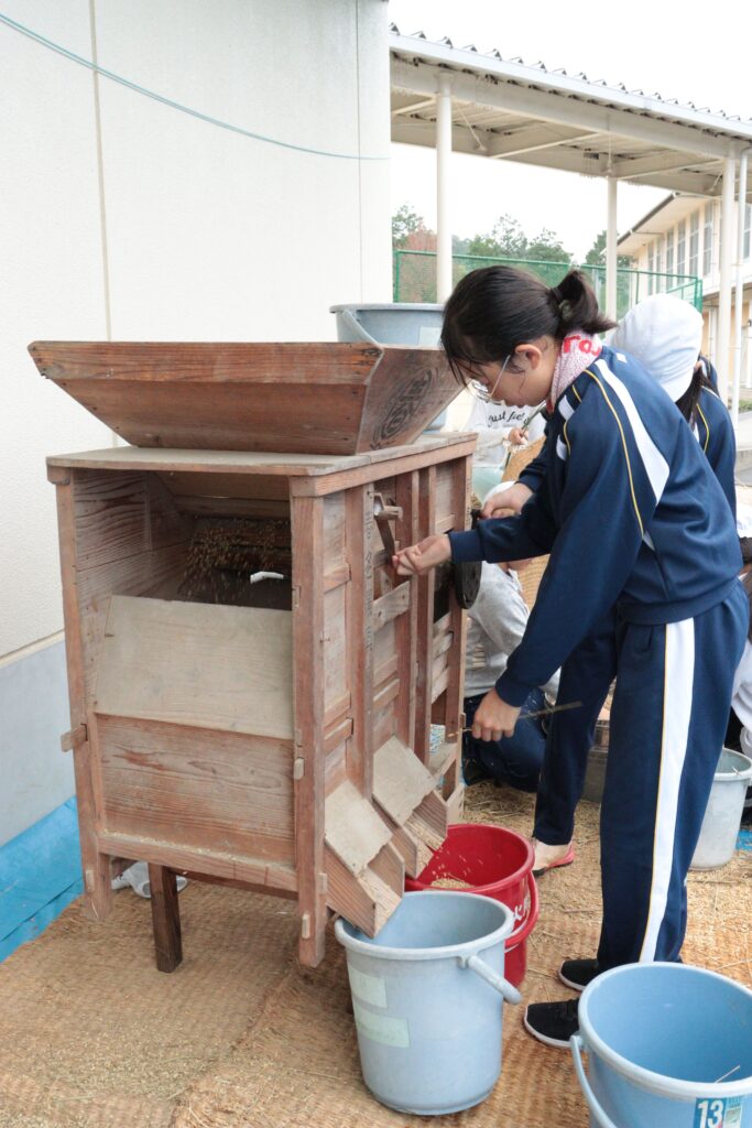 唐箕を使って籾に混ざったわらくずなどを取り出す作業を行う子どもたち