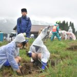 雨に濡れながら植樹に取り組む地元の中学生=岡山県津山市、大ヶ山牧場跡地で