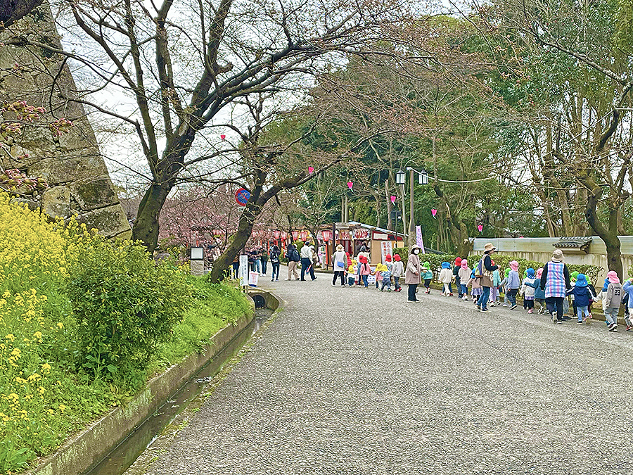 津山城周辺で散策を楽しむ園児たち2024年3月28日 午前10時32分