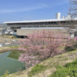 二の丸から眺める津山文化センターと桜=2024年3月30日午前9時59分