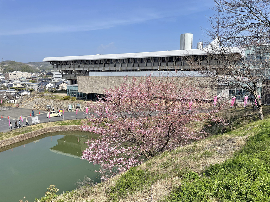 二の丸から眺める津山文化センターと桜=2024年3月30日午前9時59分