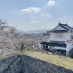 開花宣言が発表された津山城の備中櫓と桜=2024年3月30日午前10時9分