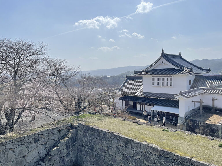 開花宣言が発表された津山城の備中櫓と桜=2024年3月30日午前10時9分