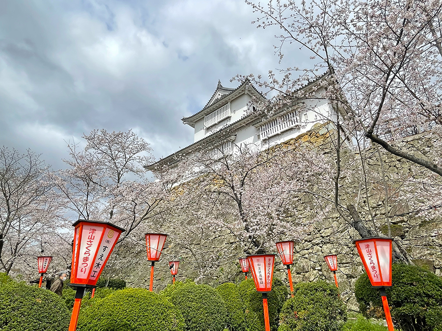 仰ぎみる備中櫓と桜=2024年4月4日午前10時30分