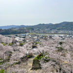 本丸付近から一望できる津山の風景=4月5日午前10時2分