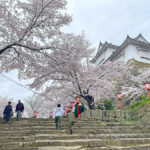 表門から三の丸にかけての階段から見る備中櫓=2024年4月8日午前10時3分