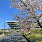 桜と文化センター=2024年4月10日午前9時53分