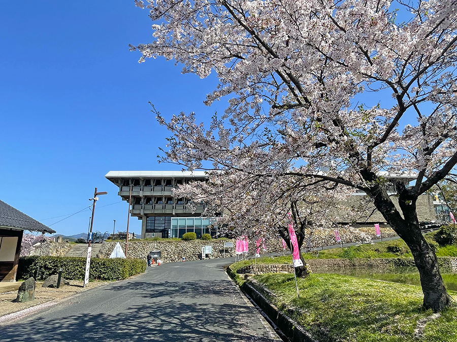 桜と文化センター=2024年4月10日午前9時53分