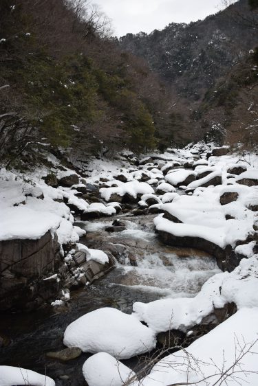 奥津渓　”水墨画のような景色　寒さ織りなす渓谷美”／岡山・鏡野町