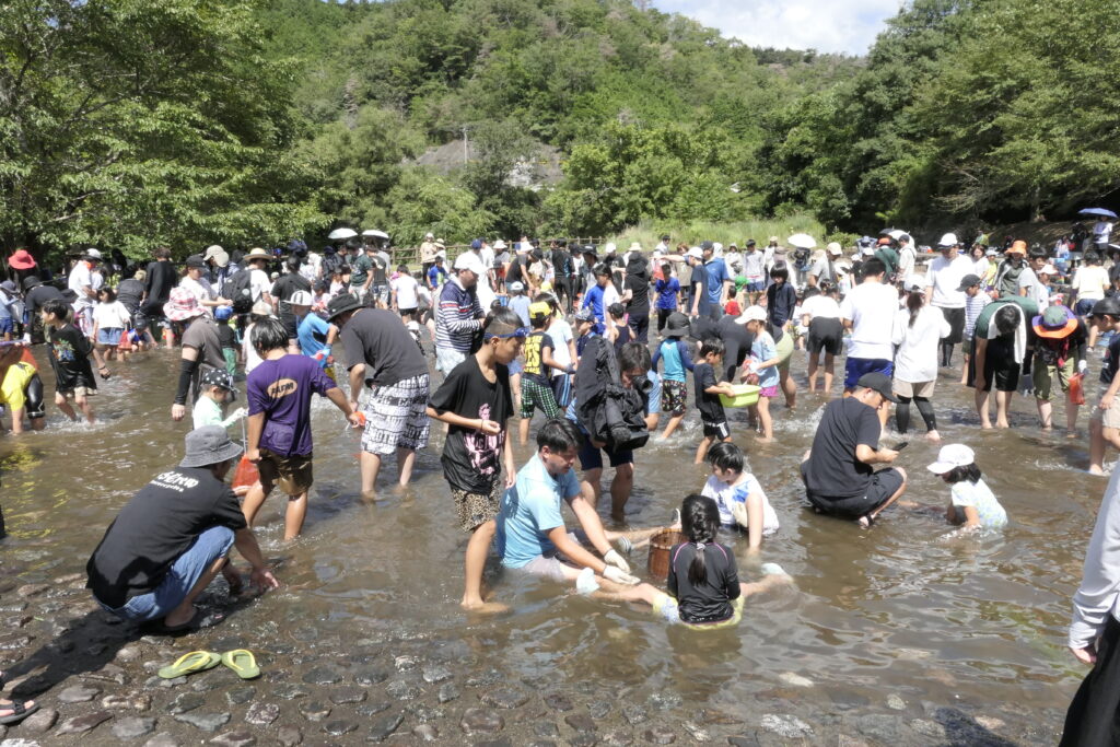 魚の影を追う参加者