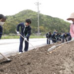 種ショウガの上に土をかぶせる生徒たち