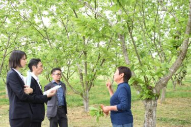 阿黒さんから岡山甘栗について聞く「地方創生支援官」=岡山県勝央町で