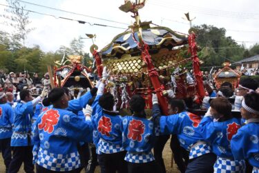 勇壮に練るきらびやかな神輿=岡山県津山市で