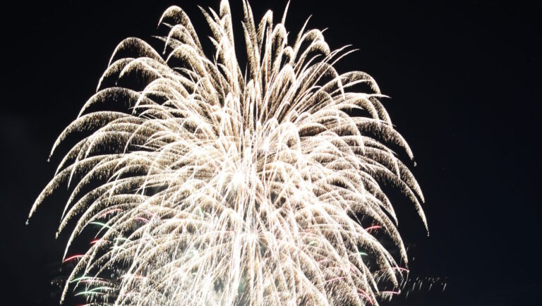 夏の夜空を彩る花火=岡山県津山市で