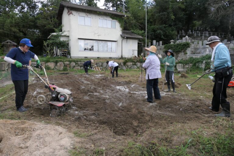 肥料や石灰をまいた畑を耕すお年寄りたち=岡山県津山市で