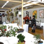 日ごろの学習や創作活動の成果が出揃った会場=岡山県津山市で