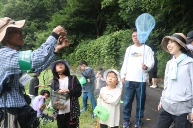 捕まえた昆虫を観察する参加者=岡山県奈義町で