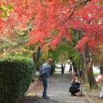 紅葉や番傘アートの演出をめでる入園者