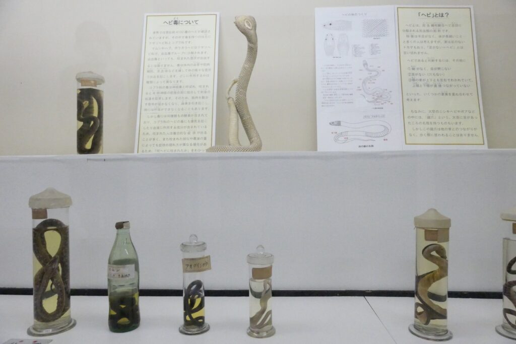 ずらりと並ぶさまざまな品種の標本