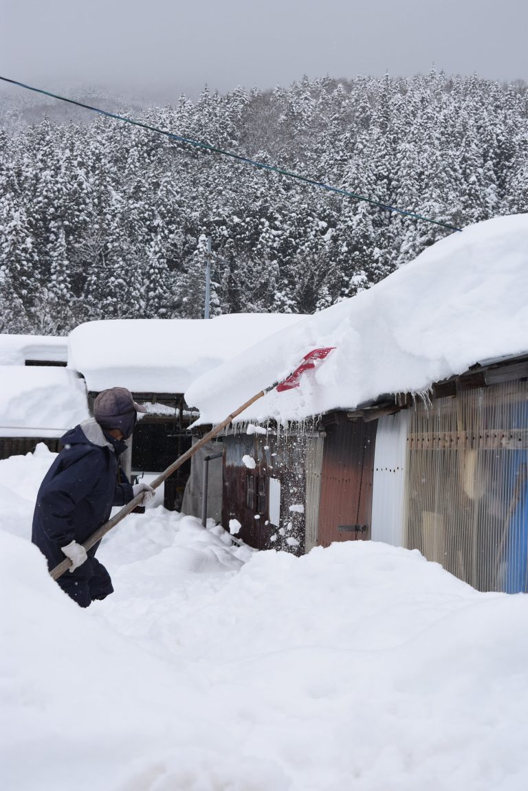 屋根に積もった雪を下ろす住民。79歳男性は「短時間でこれほど積もったことは初めて」＝27日、阿波地域
