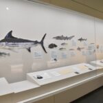 津山洋学資料館夏季企画展「箕作博士の水族館」