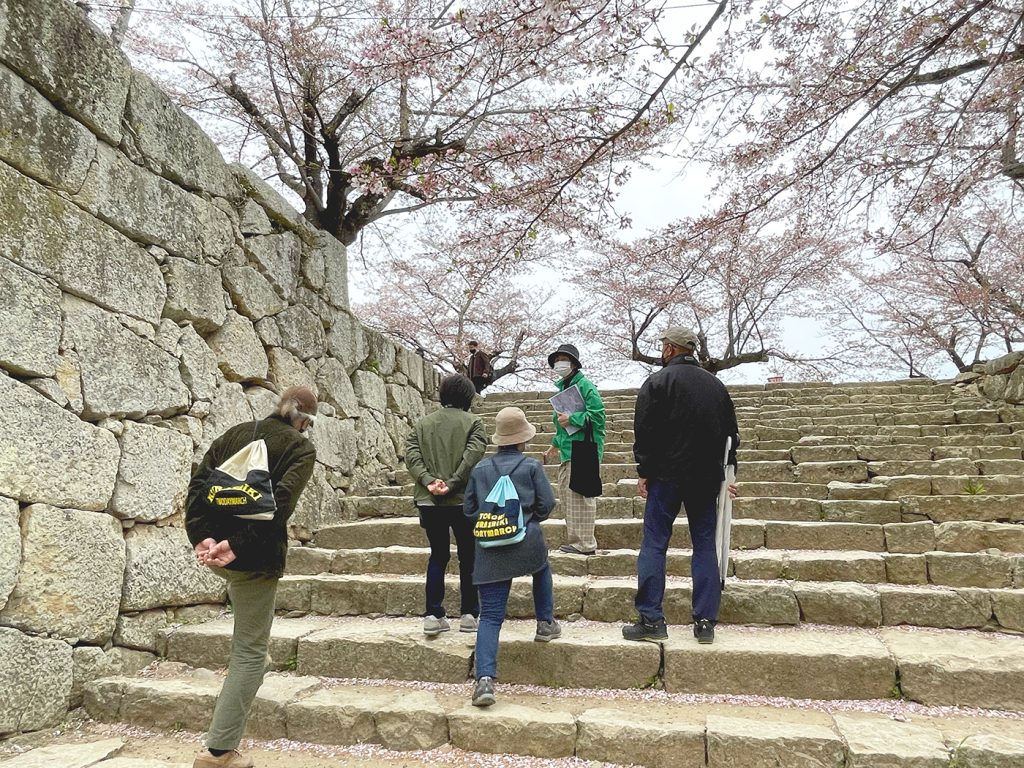 鶴山公園内を案内するスタッフと観光客=2023年4月5日午前10時18分