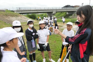 水質検査の様子を見守る5年生=岡山県津山市で