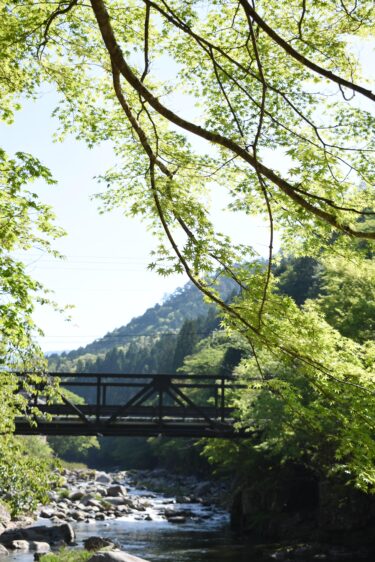 奥津渓を彩る青葉=岡山県鏡野町で