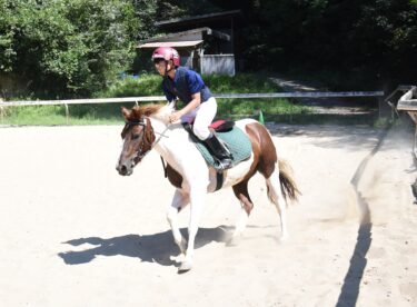 巧みに馬を操って力強く疾走する佐々木君=岡山県勝央町で