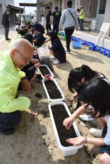 プランターに種をまく児童たち=岡山県津山市で