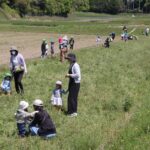 レンゲ畑を駆け回る子どもたち