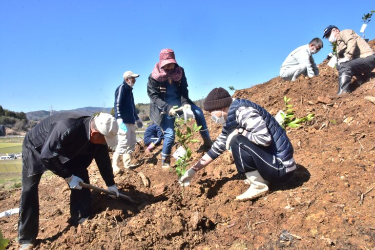 ミカンの苗木を植樹する職員や利用者、近隣町内会の役員ら=岡山県津山市で