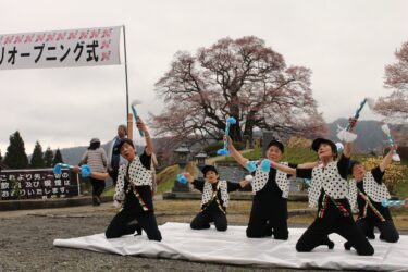 岡山県真庭市別所の「醍醐桜」の桜まつりオープニング式がひらかれる