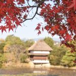 山北の国名勝・衆楽園で紅葉が見ごろを迎える