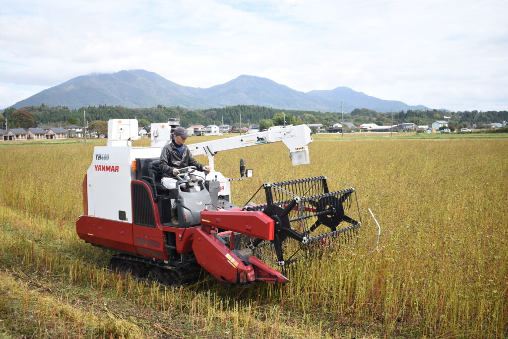 ソバの実を茎ごとに刈り取る専用コンバイン