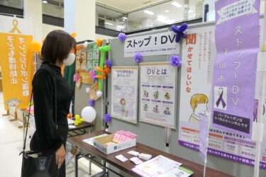 市役所に掲示されたDV防止を呼びかける展示=岡山県津山市で