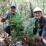 広葉樹や針葉樹の苗木と倭文の郷スタッフ