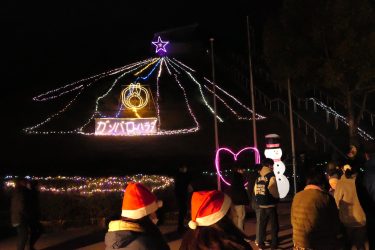 華やかに夜を彩る