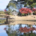 紅葉が鮮やかさを残す衆楽園