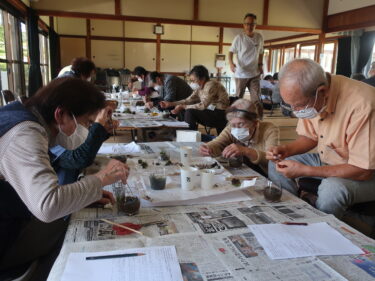 苔テラリウムづくりに挑戦する利用者=岡山県津山市で