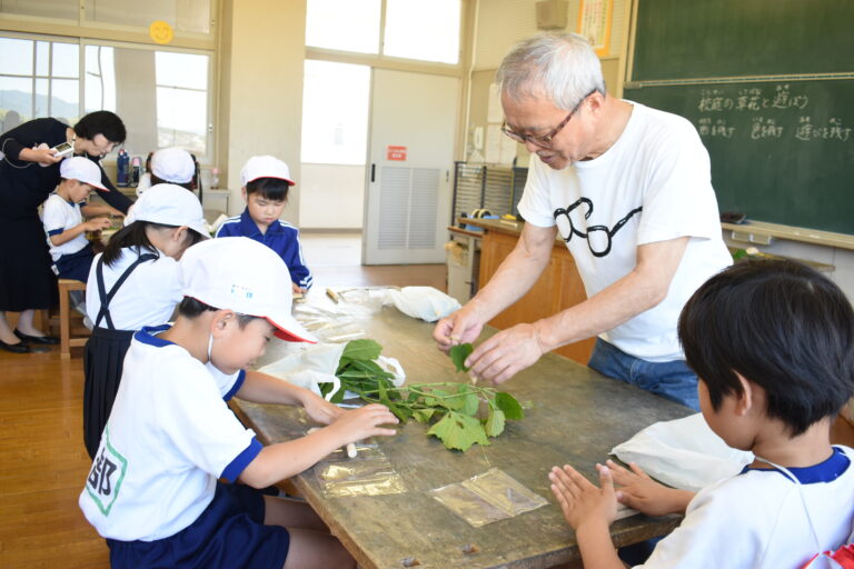 身近な植物を使って作品つくる児童=岡山県奈義町で