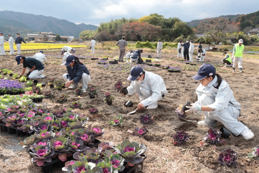 花壇の周囲に葉ボタンを植える生徒たち