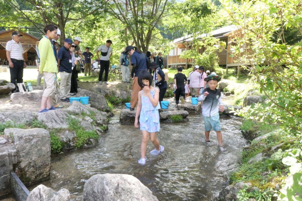 渓流の中のアマゴを探す子どもたち