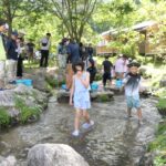 渓流の中のアマゴを探す子どもたち