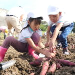 大きく育ったイモを協力して引っ張り上げる2人