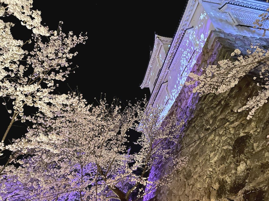 夜桜と備中櫓＝2023年3月29日 午前19時34分