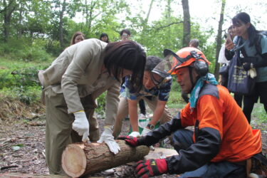 丸太の樹皮はがしを体験する友納環境大臣政務官＝岡山県真庭市で